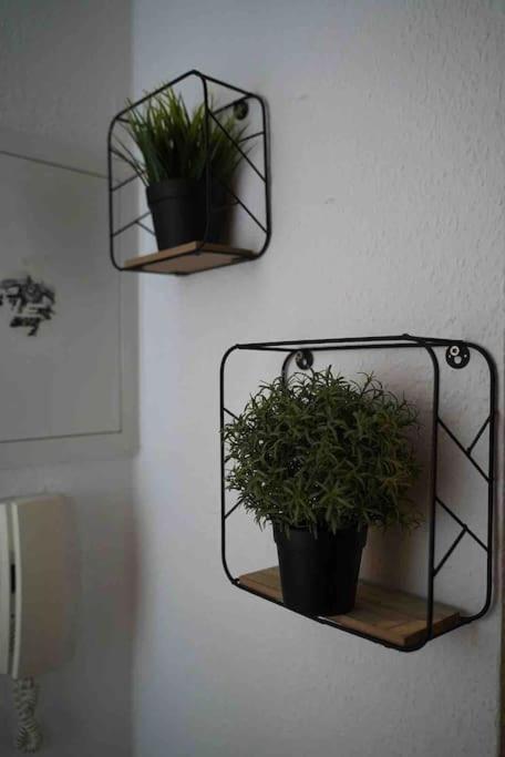 Luftiges Apartment Im Herzen Von Dresden Ngoại thất bức ảnh